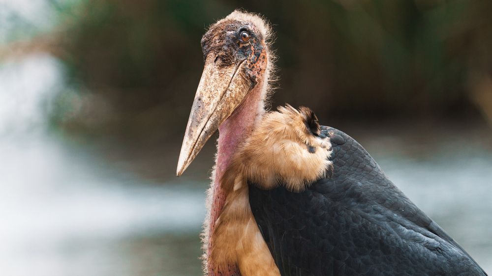 Photograph by Khazov Artem