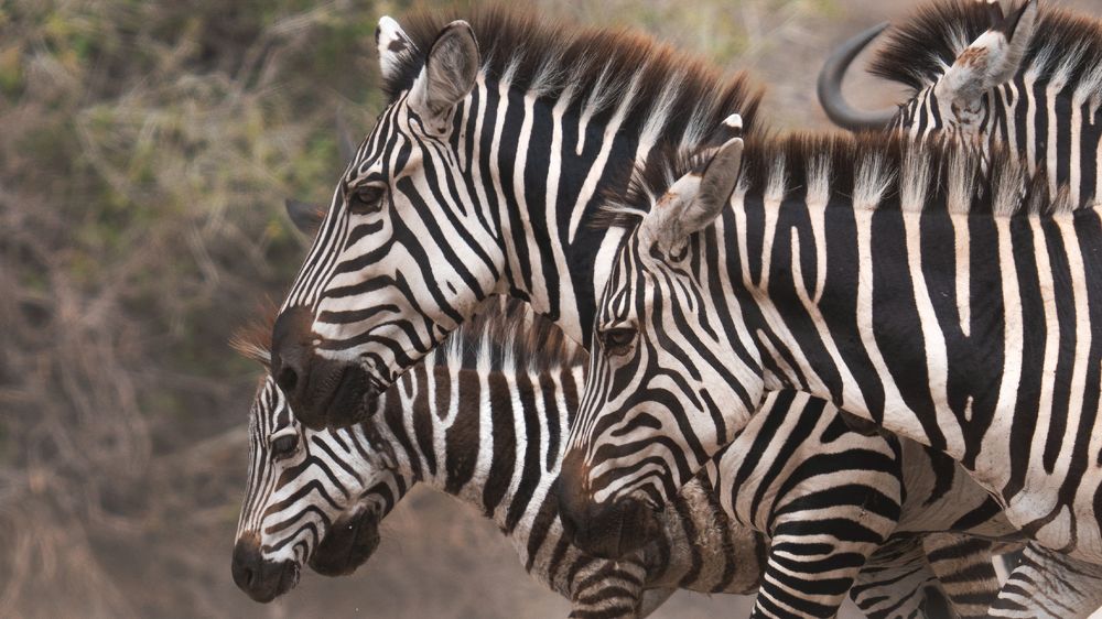 Photograph by Khazov Artem