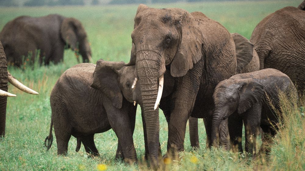 Photograph by Khazov Artem