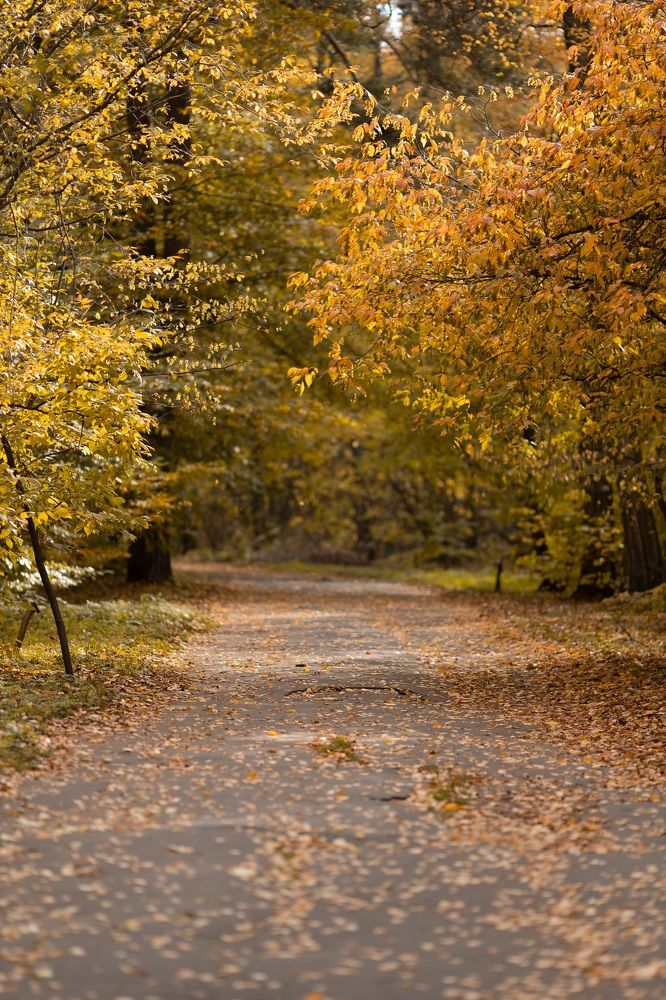 Photograph by Харламова Алина