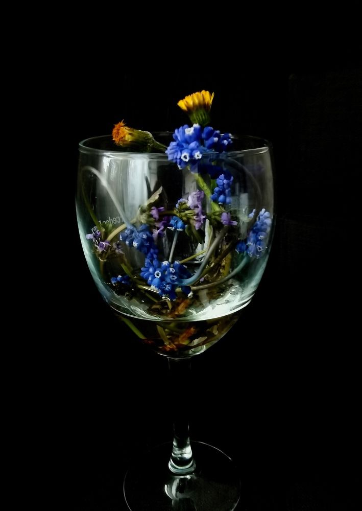 Photograph by Олеся Газиева