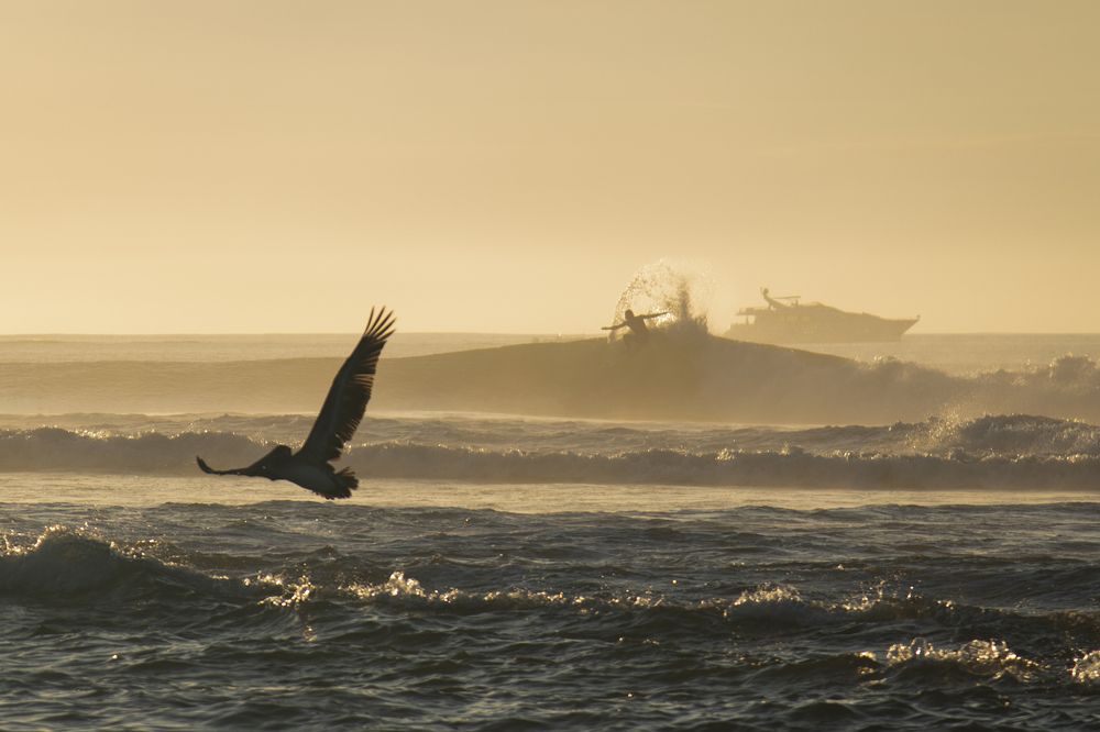 Photograph by Noe Castro