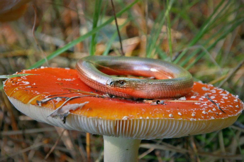 Photograph by Владимир Петрукович