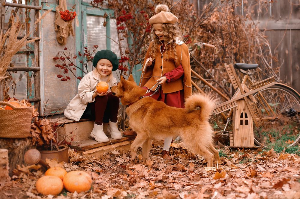 Photograph by Елена Аленская