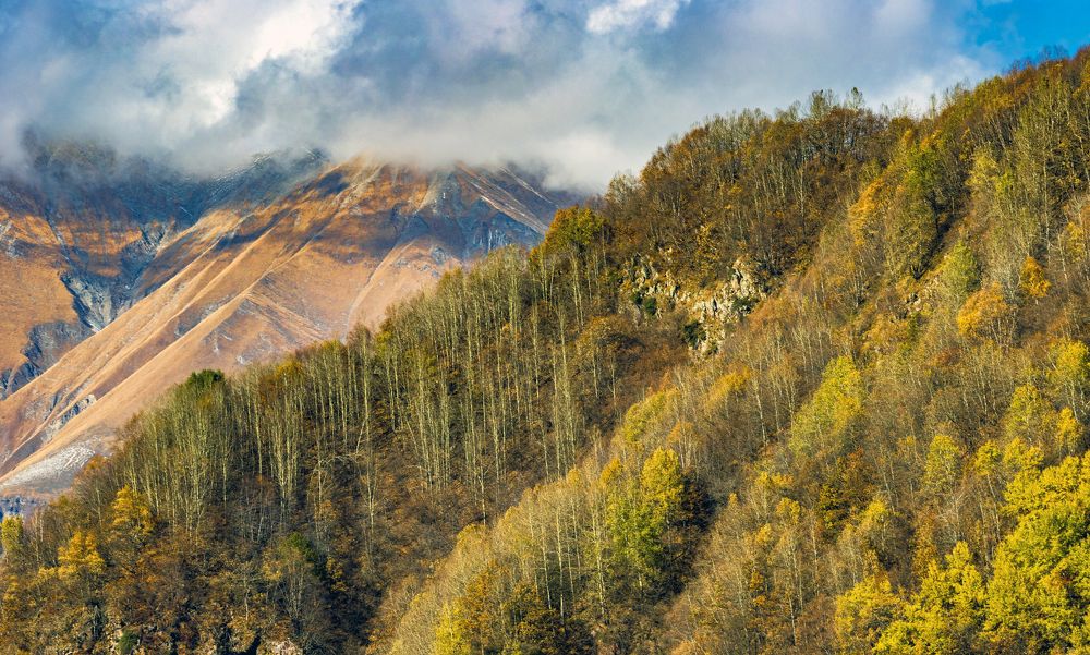 Photograph by Alex Kalpus