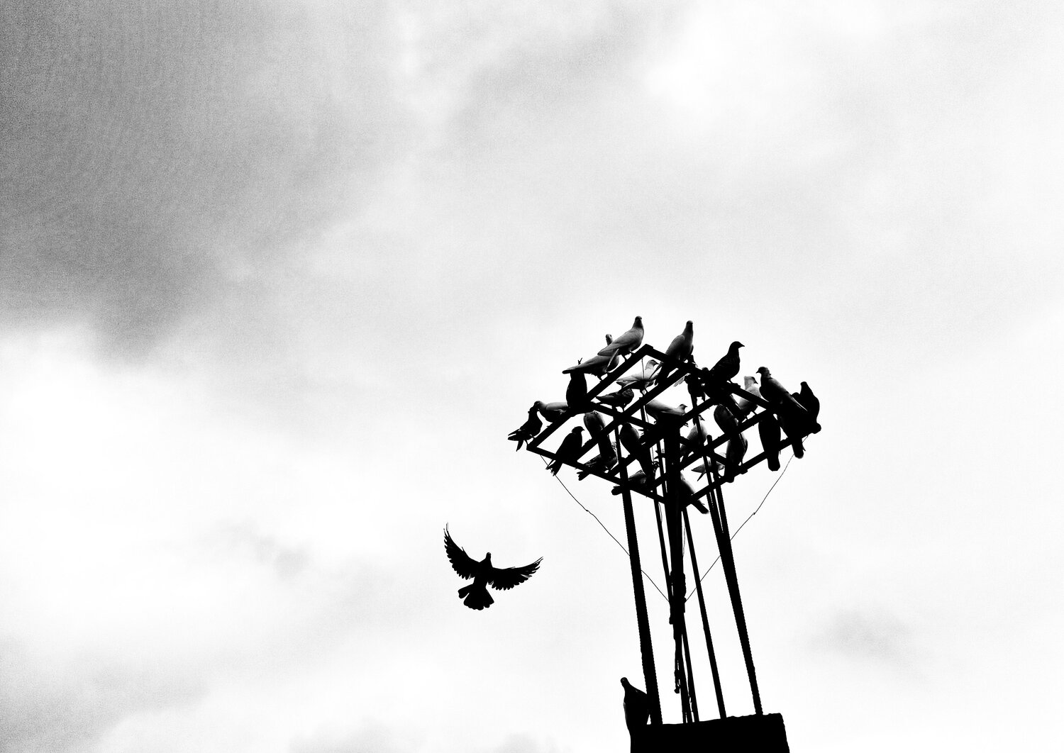 Photo #8303340