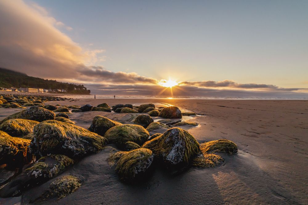 Фотография автора Angela Miller