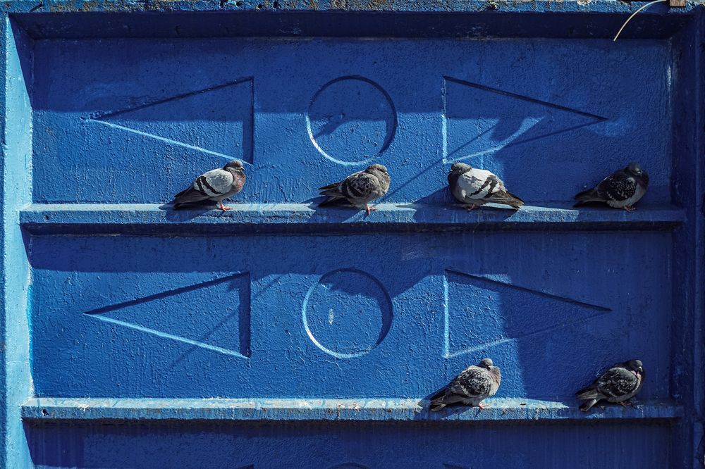 Свободные места