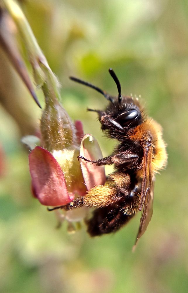Photograph by Анастасия Старикова