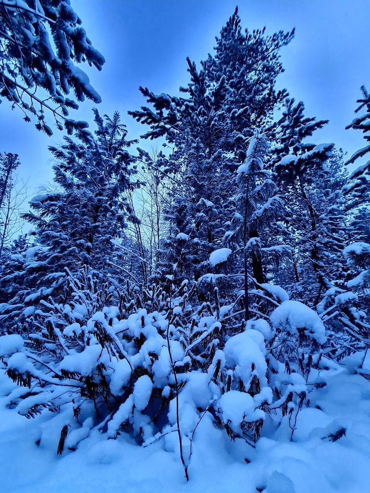 Photograph by Алексей Миронов