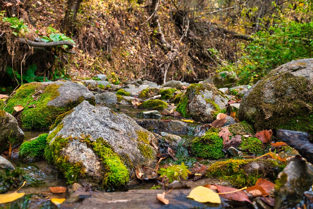 Photograph by Михаил Ноеренчук