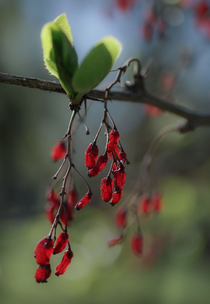 Фотография автора Галина