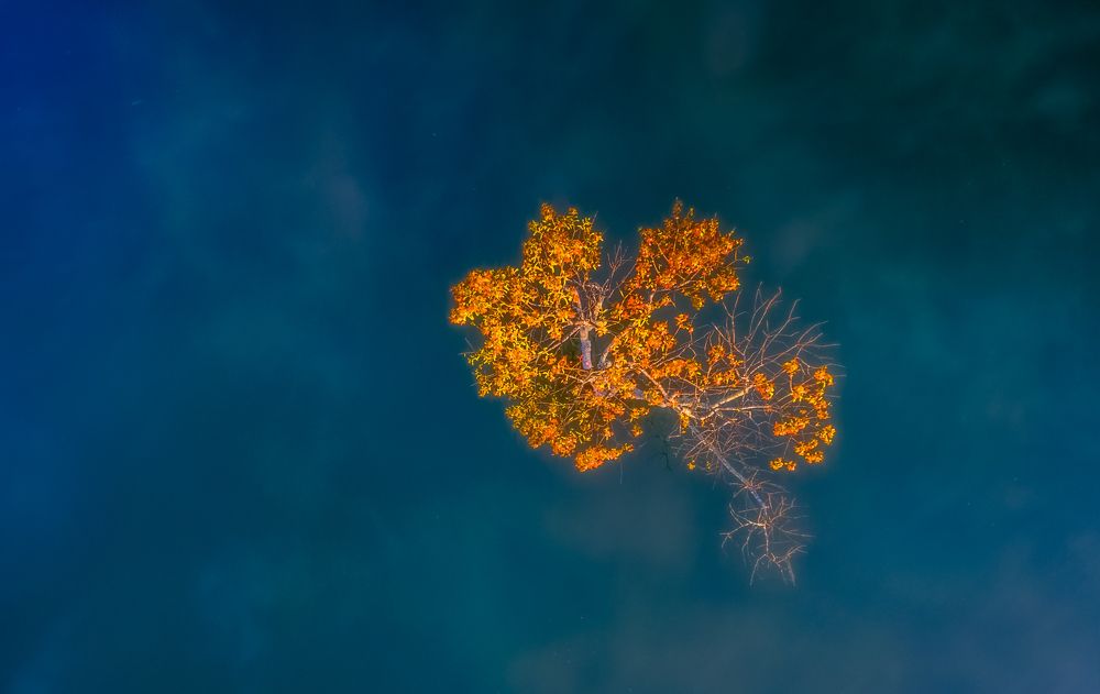 Photograph by Lê Huy Anh