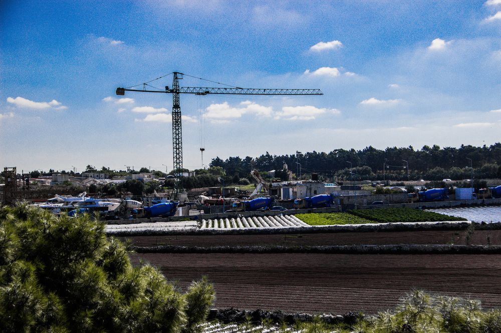 Photograph by Ernest Spiteri Gonzi