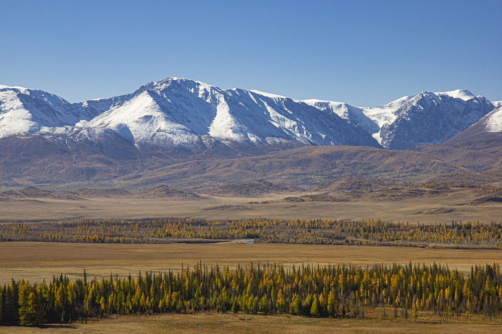 Photograph by Елена Павлова