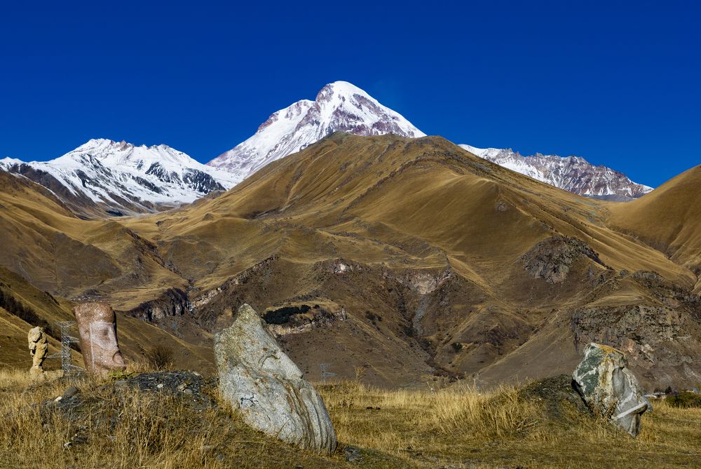 Photograph by Alex Kalpus