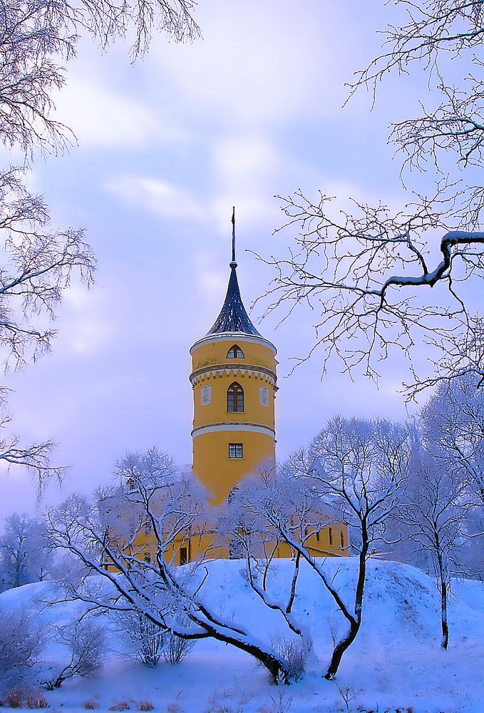 Фотография автора Галина