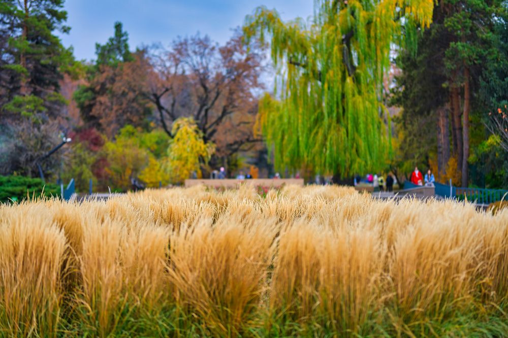 Photograph by Михаил Ноеренчук