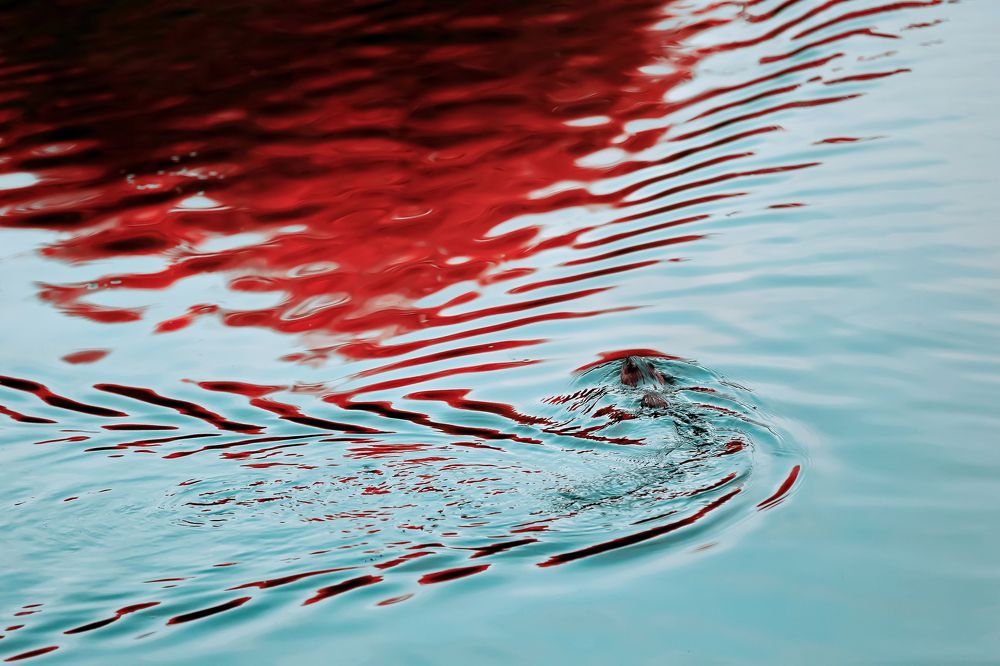 Photograph by Аркадий Ишимов