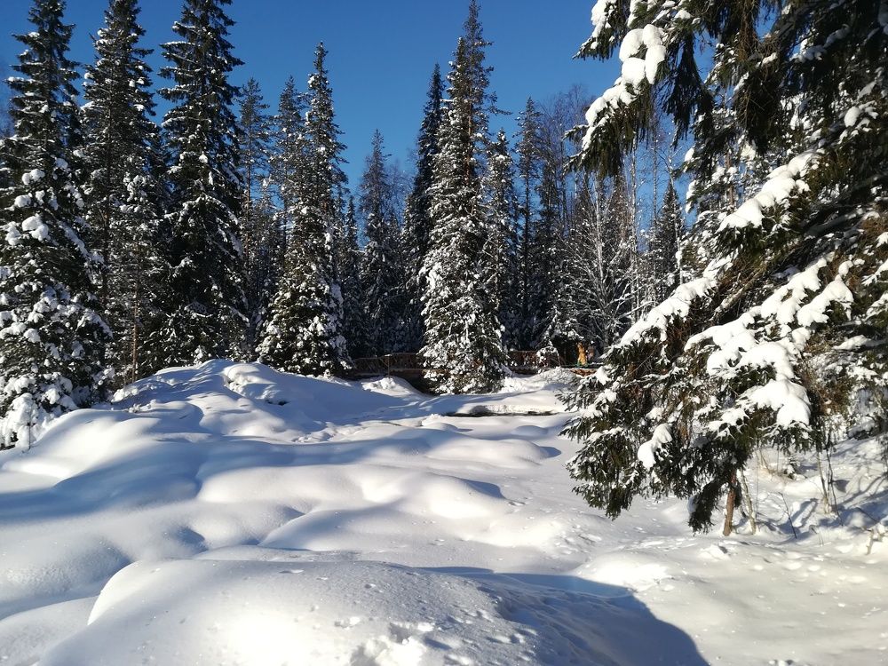 Photograph by Елизавета