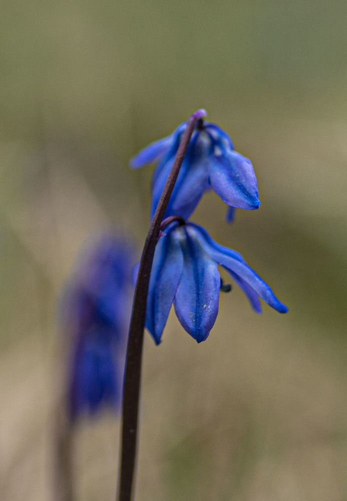 Photograph by ИРЕНА Федорова