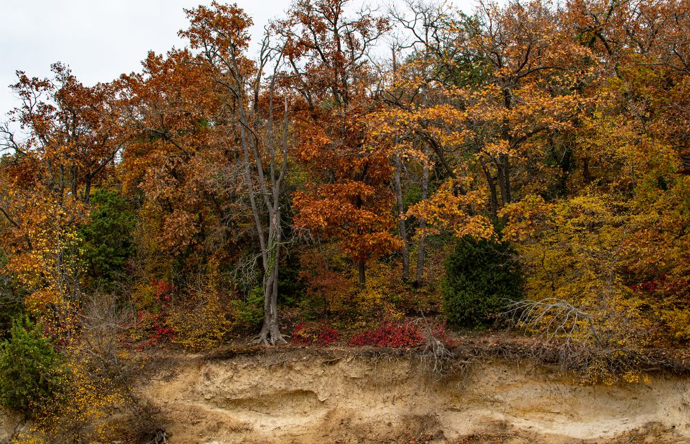 Photograph by Владимир Жигулин