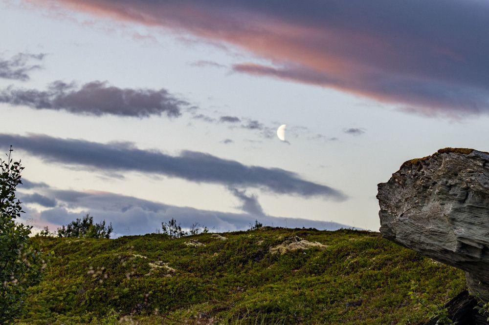 Фотография автора Edīte Ogorodnikova