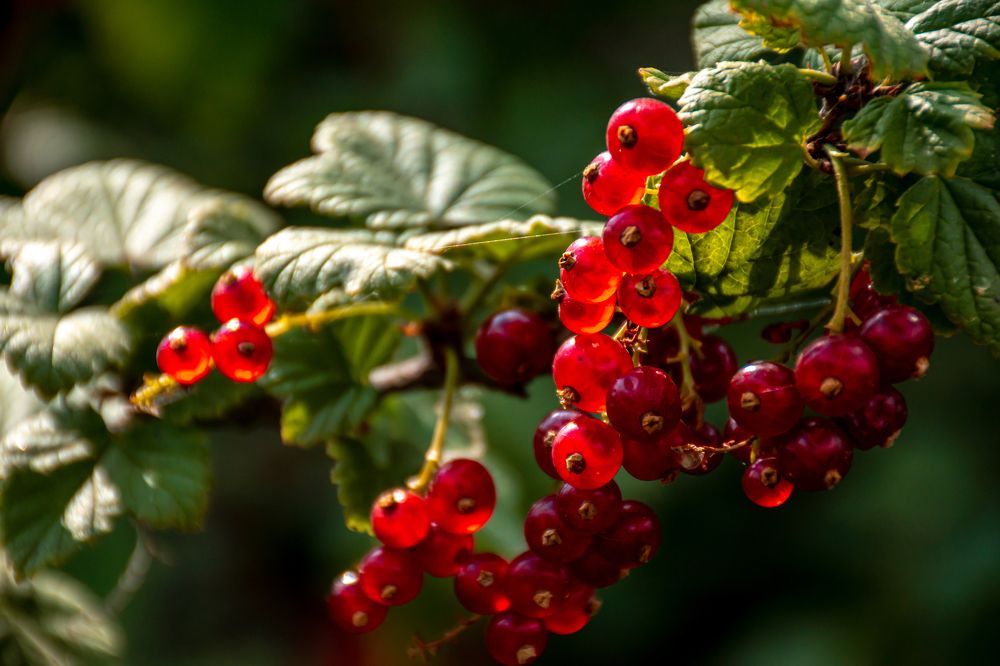 Photograph by Елена Прохорова