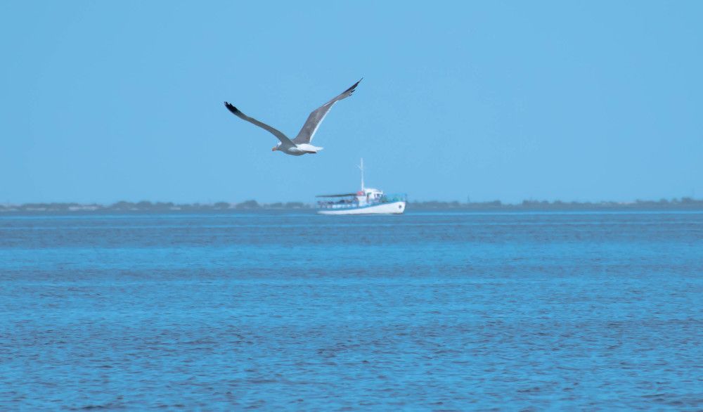 Photograph by Елена Прохорова