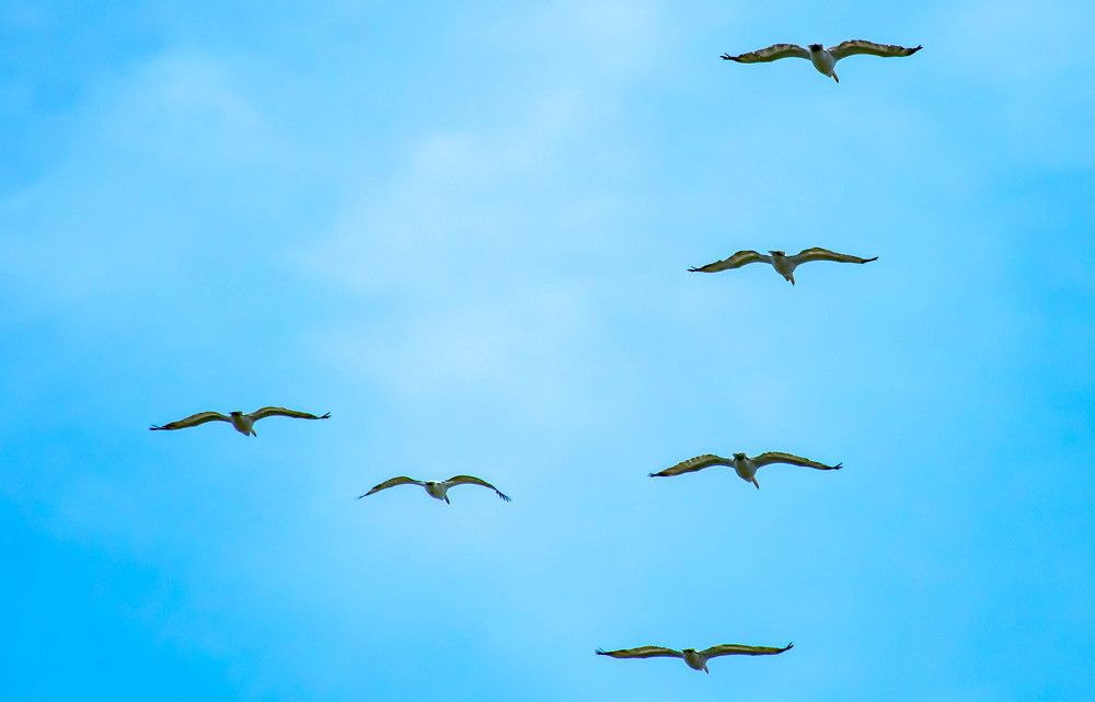 Photograph by Елена Прохорова