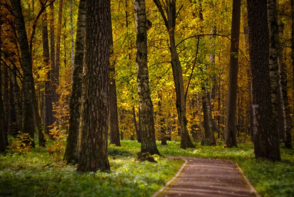 Photograph by Павел Стаценко