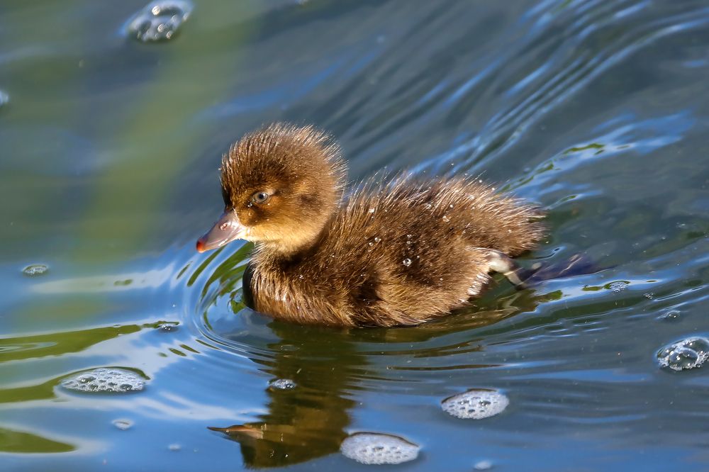 Photograph by Алексей