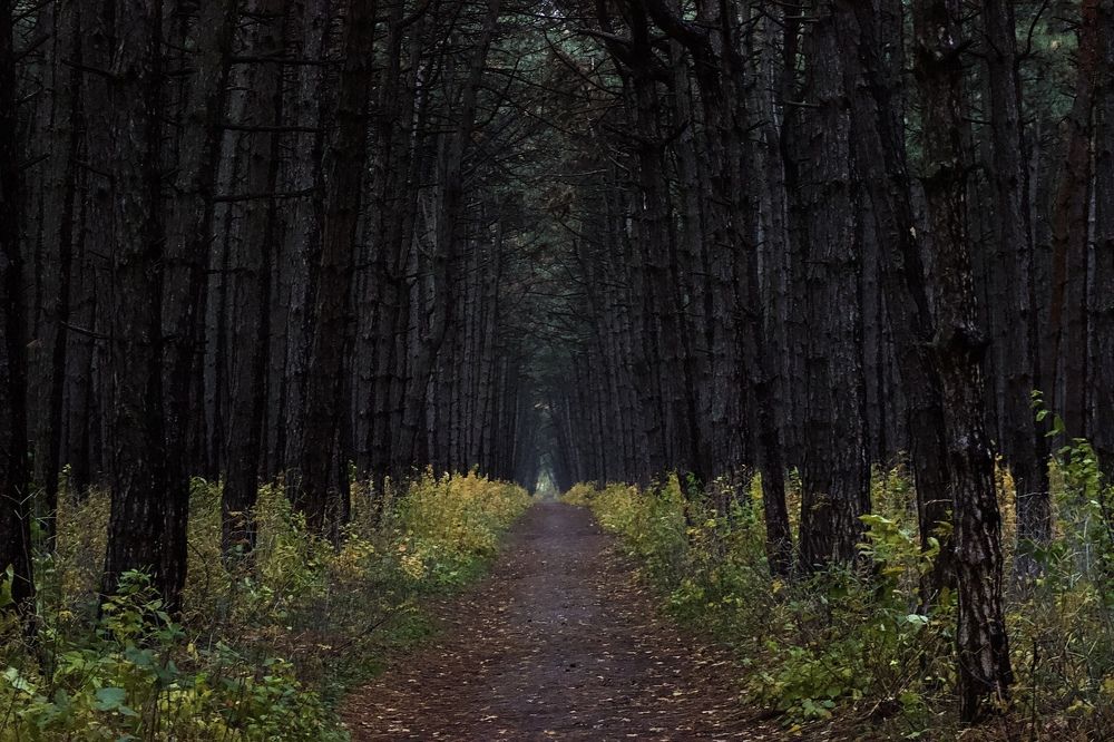 Photograph by Антон Кремер