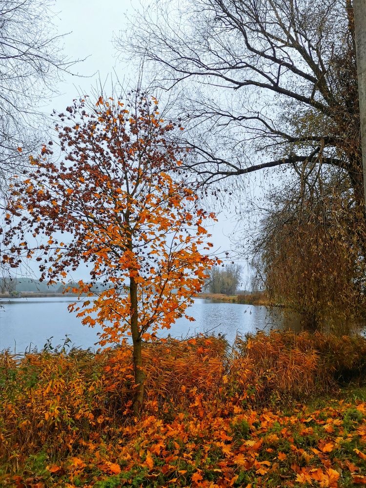 Photograph by Екатерина Ремез