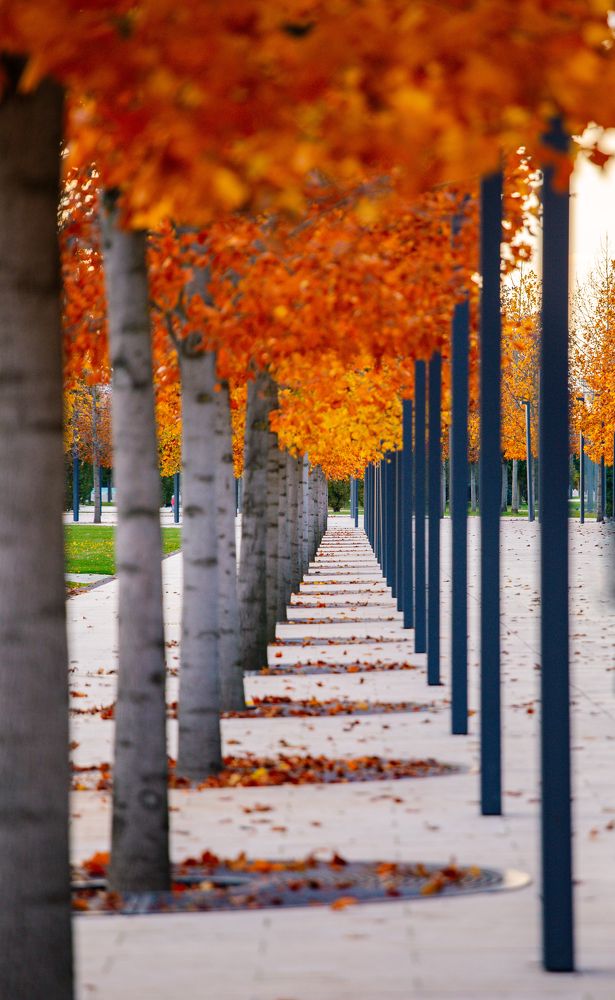 Photograph by Сергей Афанасьев