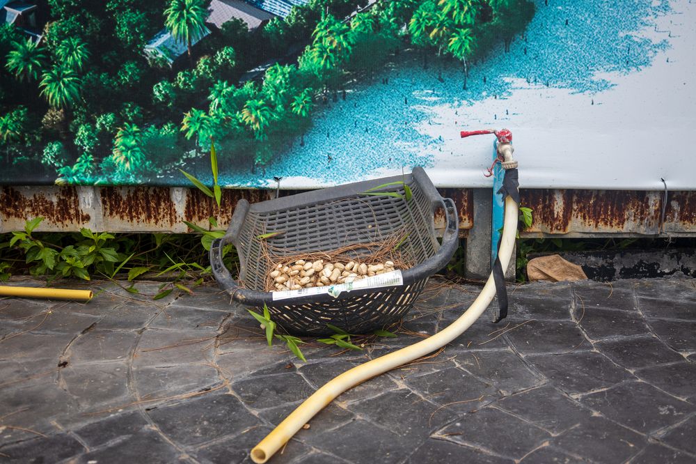 the grid on the shore