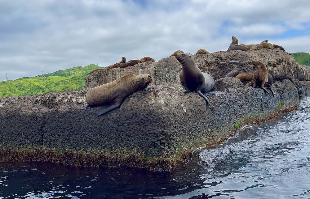 Photograph by Kirill E.