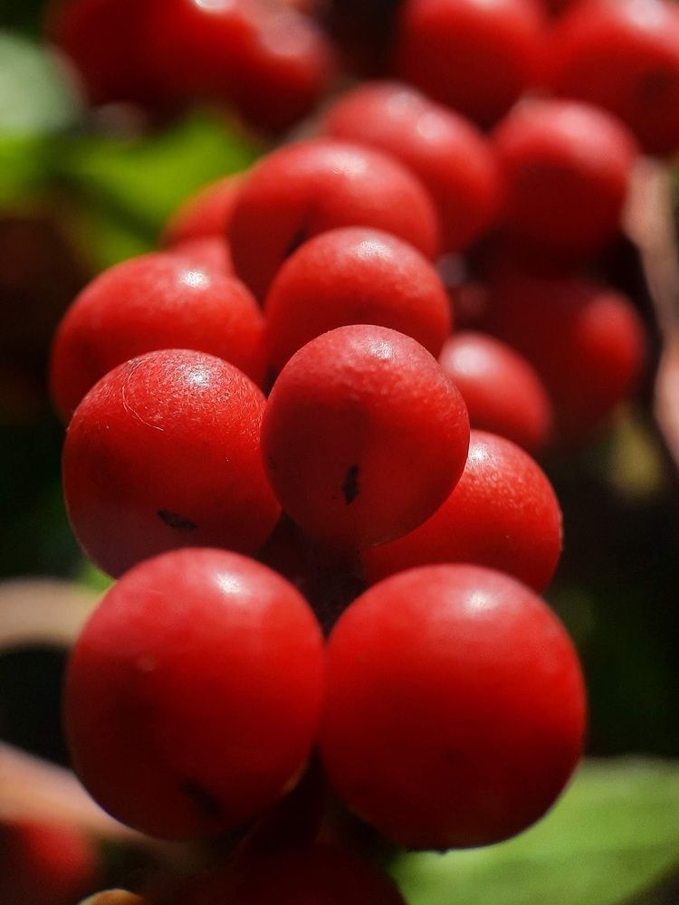 Photograph by Любовь Войтишина