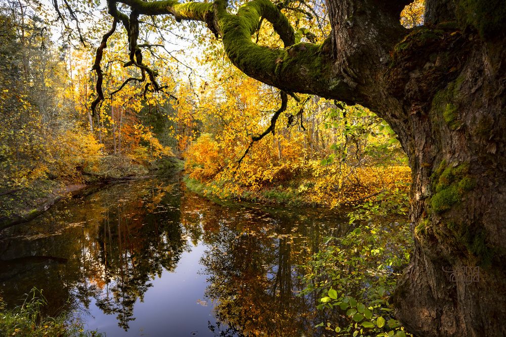 Photograph by Yana Raaga