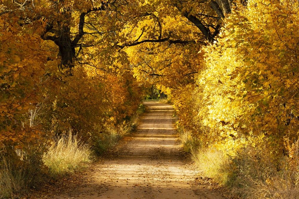 Photograph by Yana Raaga