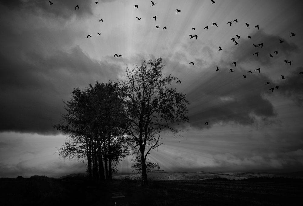 Photograph by Magdalena Kolenicova