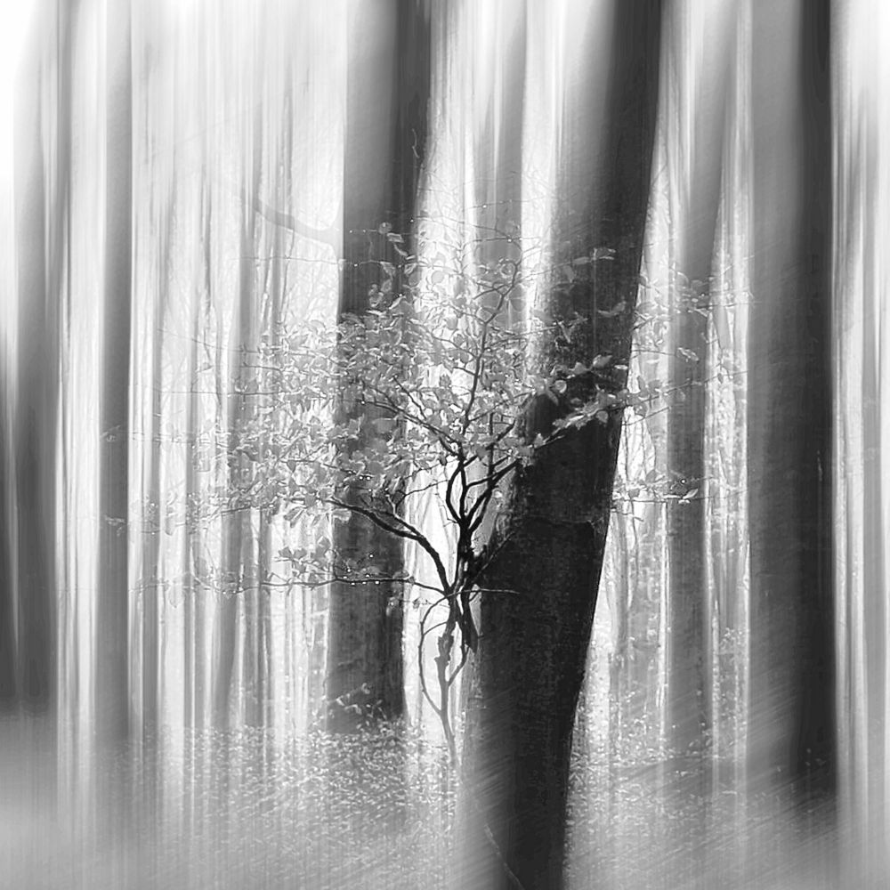 Photograph by Magdalena Kolenicova