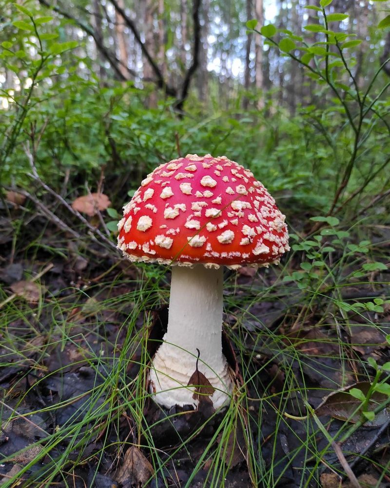 Photograph by Алексей Кириллов