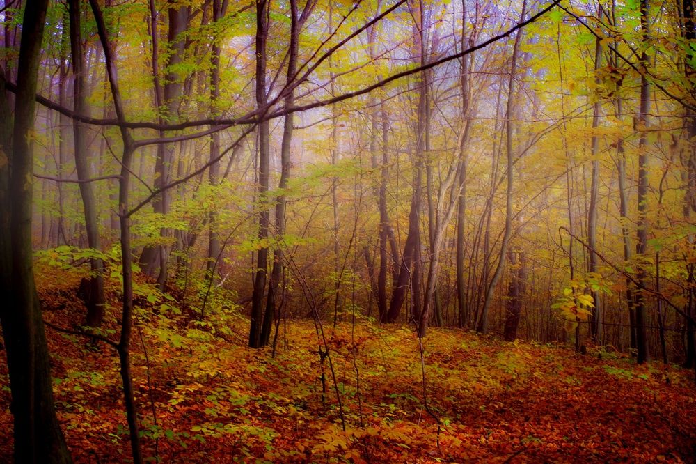 Photograph by Magdalena Kolenicova