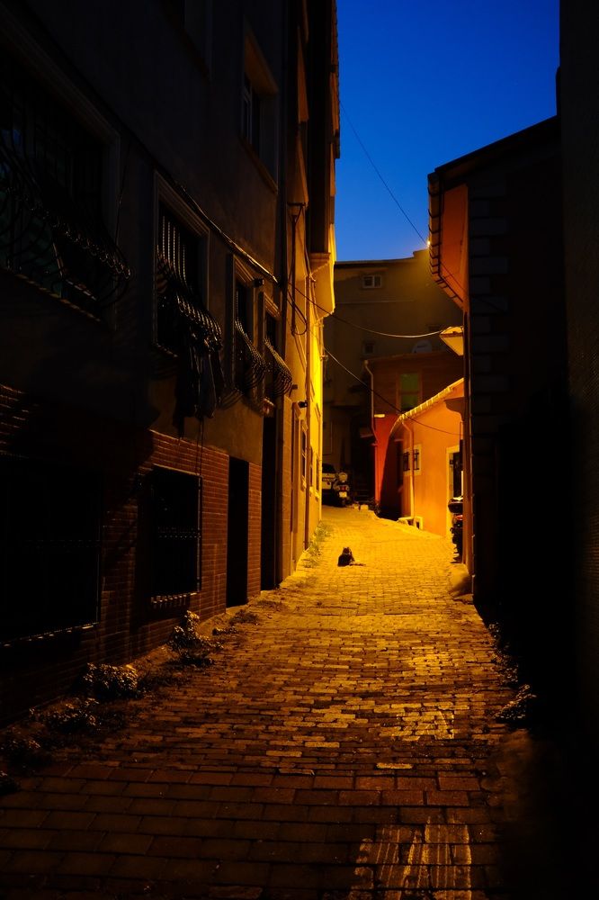 Photograph by Сергей Акимов