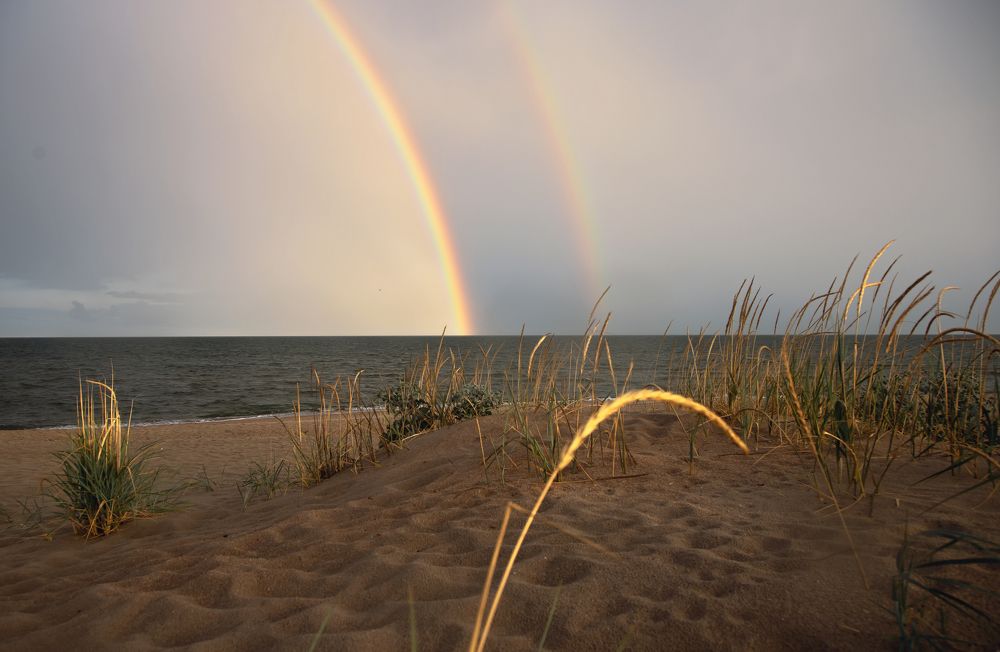 После дождя!