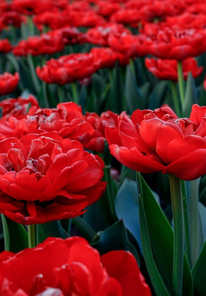 Photograph by Nika Prokopenko