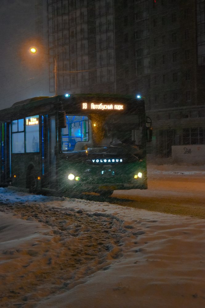 Photograph by Михаил Жарков