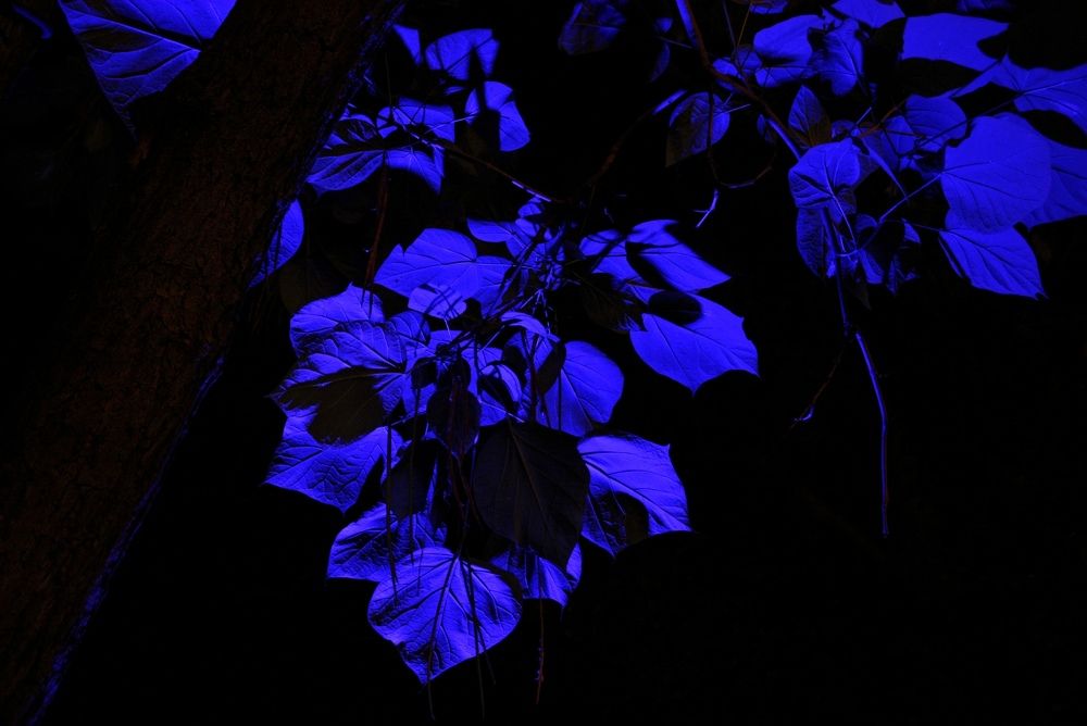 Photograph by Nika Prokopenko