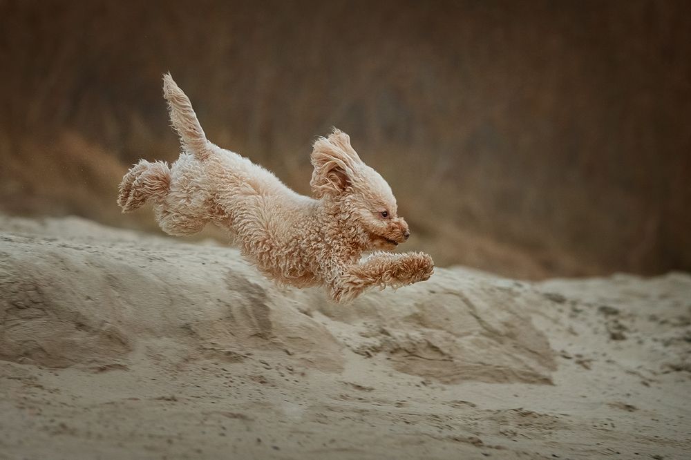 Photograph by Ольга Легенькая